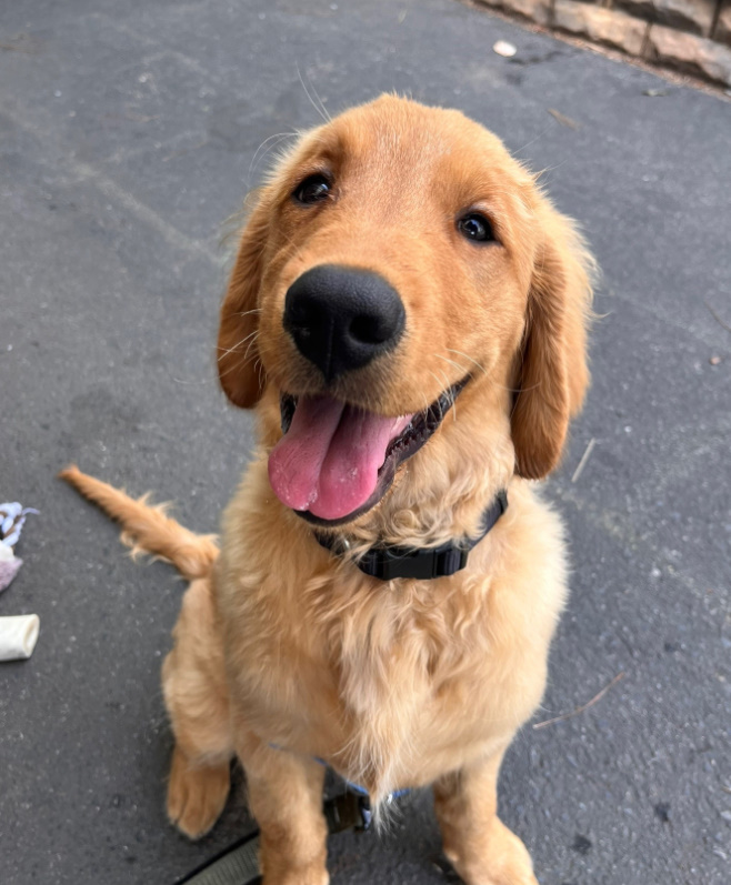 Extra image from article