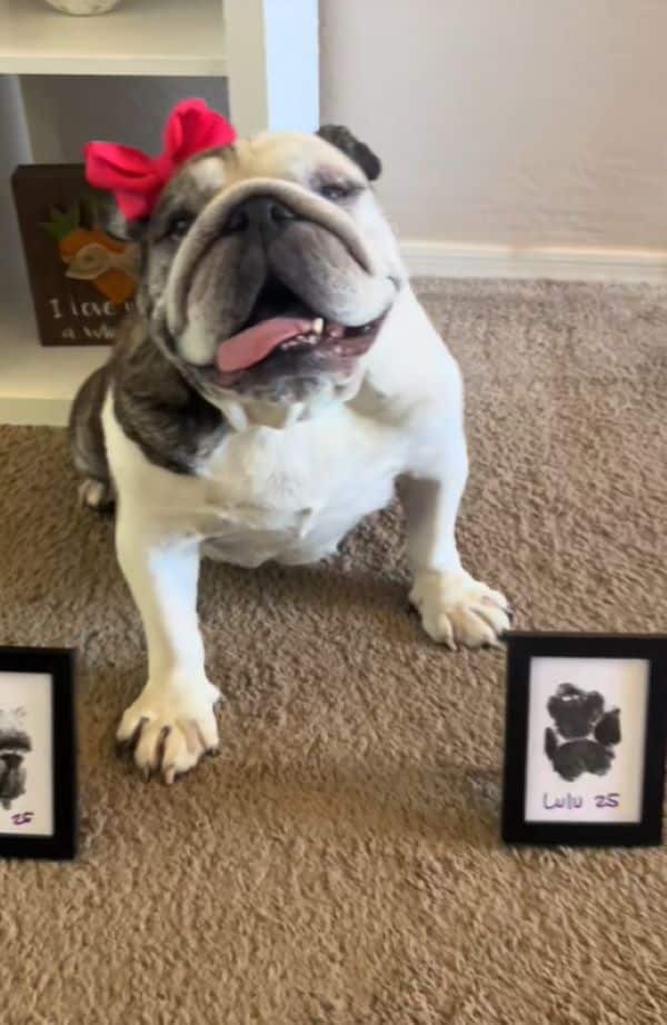 Extra image from article