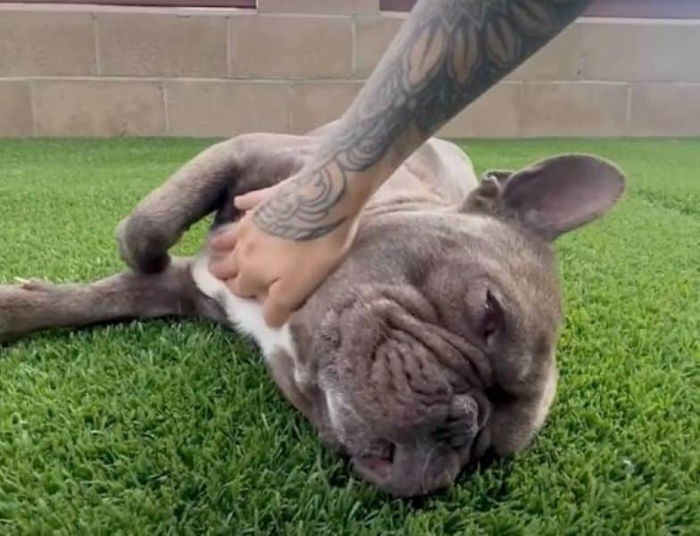 Extra image from article