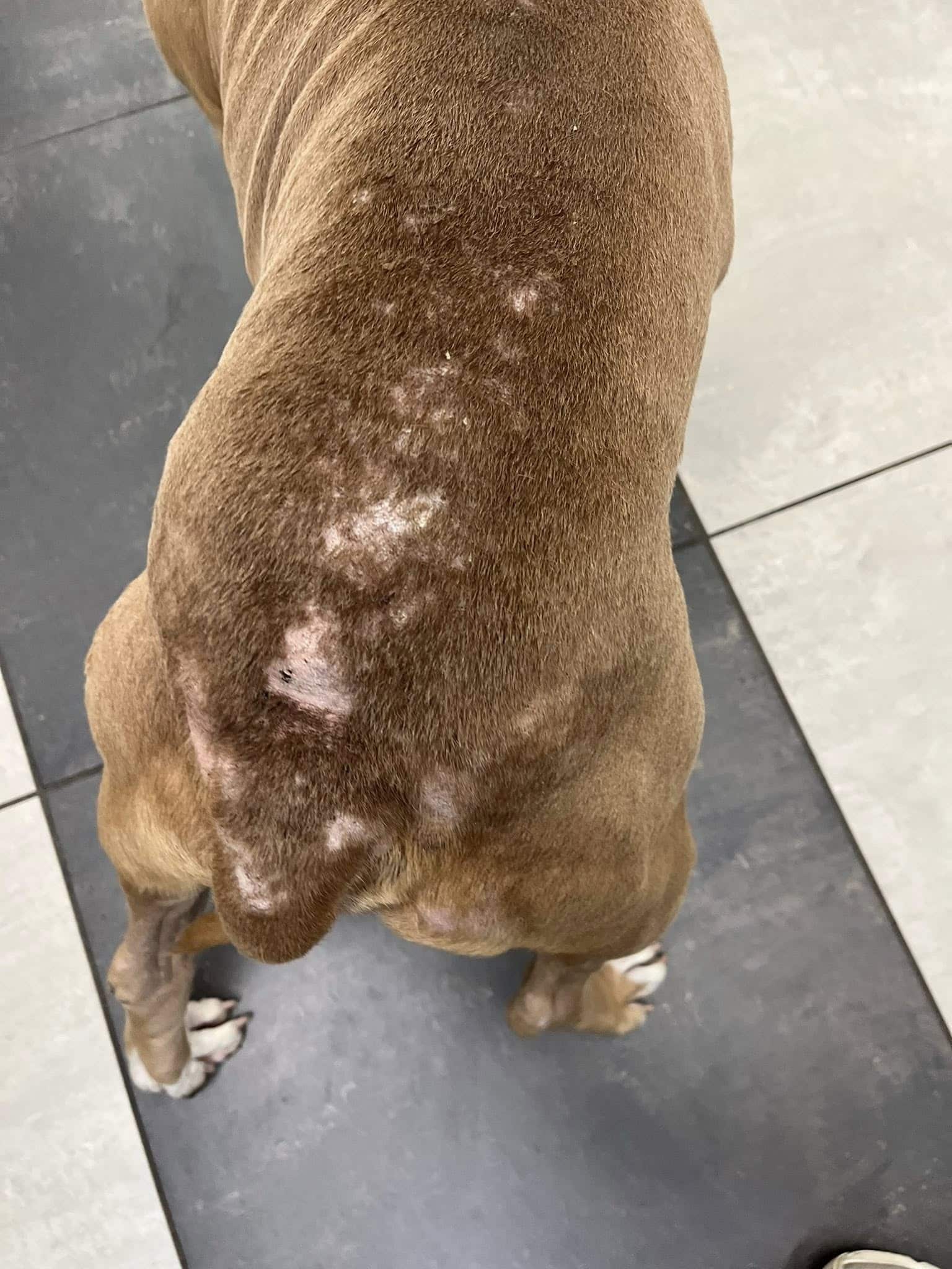 Extra image from article