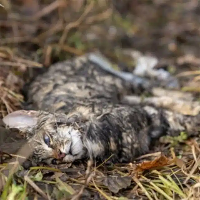 For a brief moment, I stood frozen, sens...