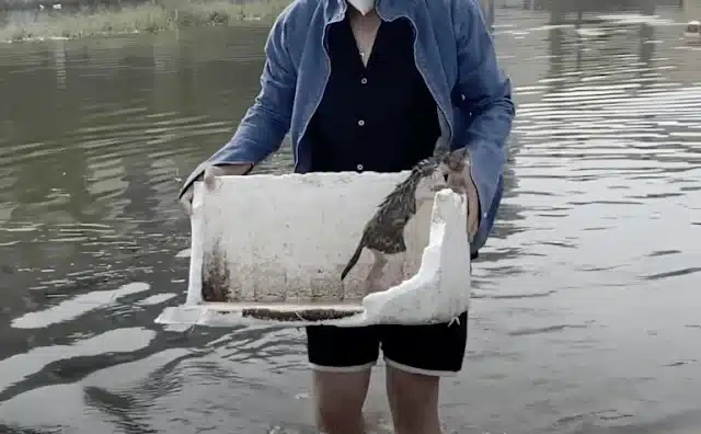 In her fight for survival, she sought hi...