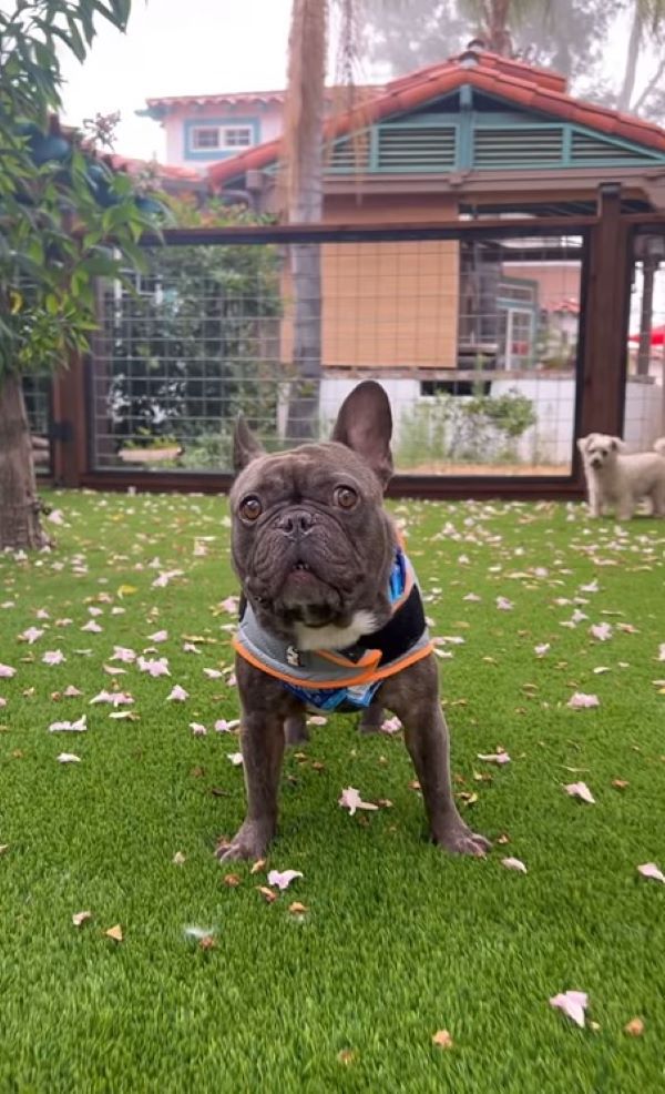 Extra image from article