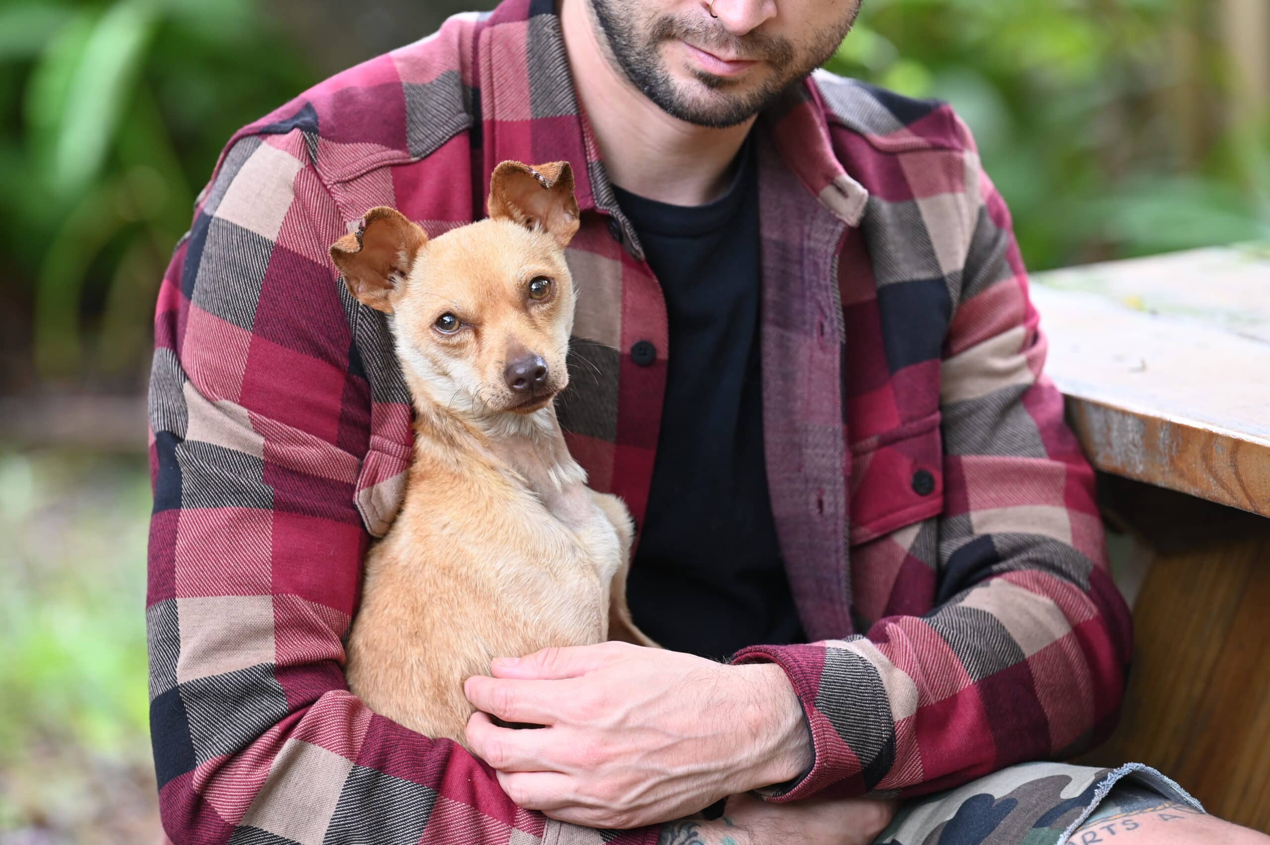 Extra image from article