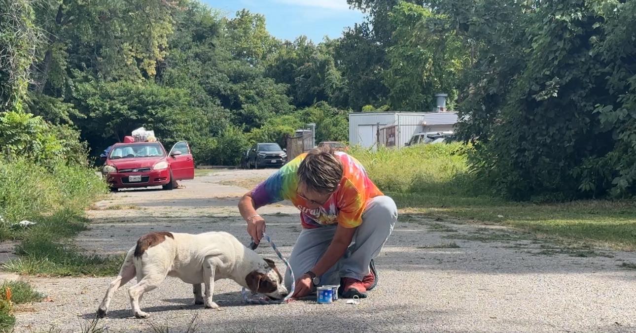 Extra image from article