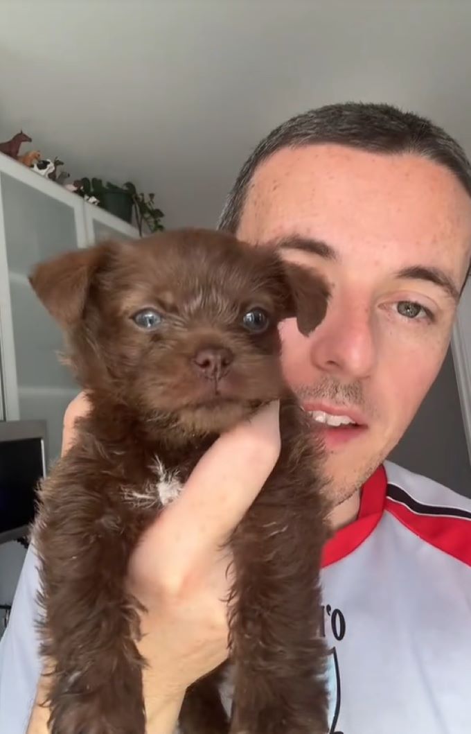 Extra image from article