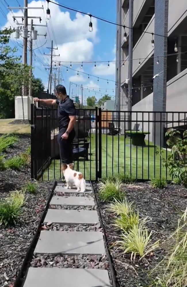 Extra image from article