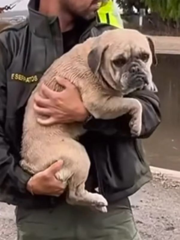 Extra image from article