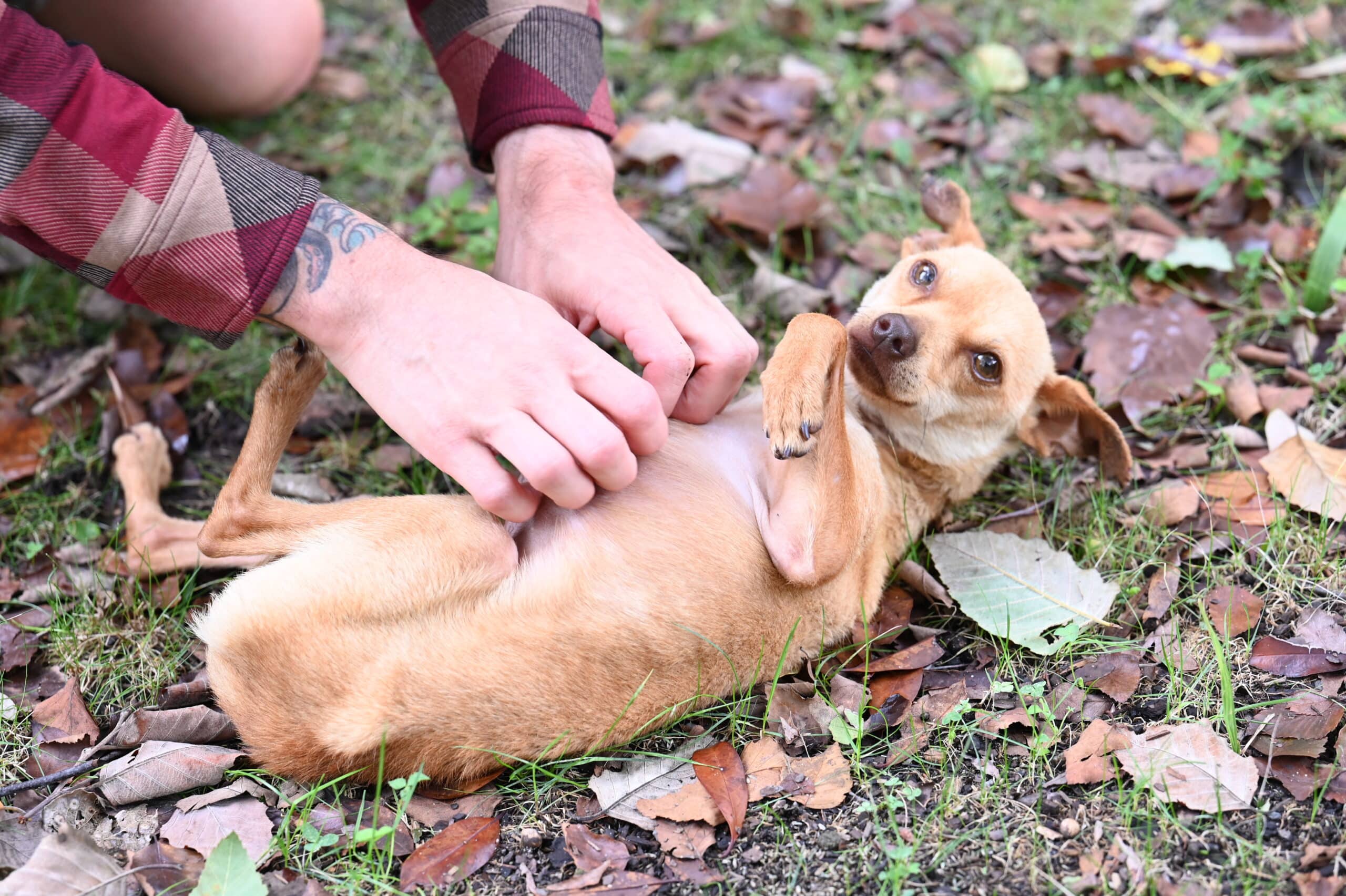 Extra image from article