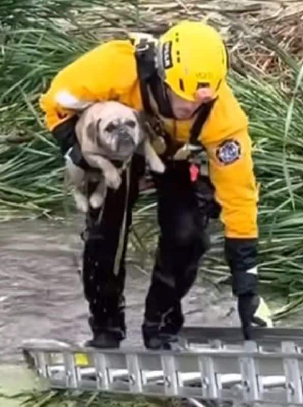 Extra image from article