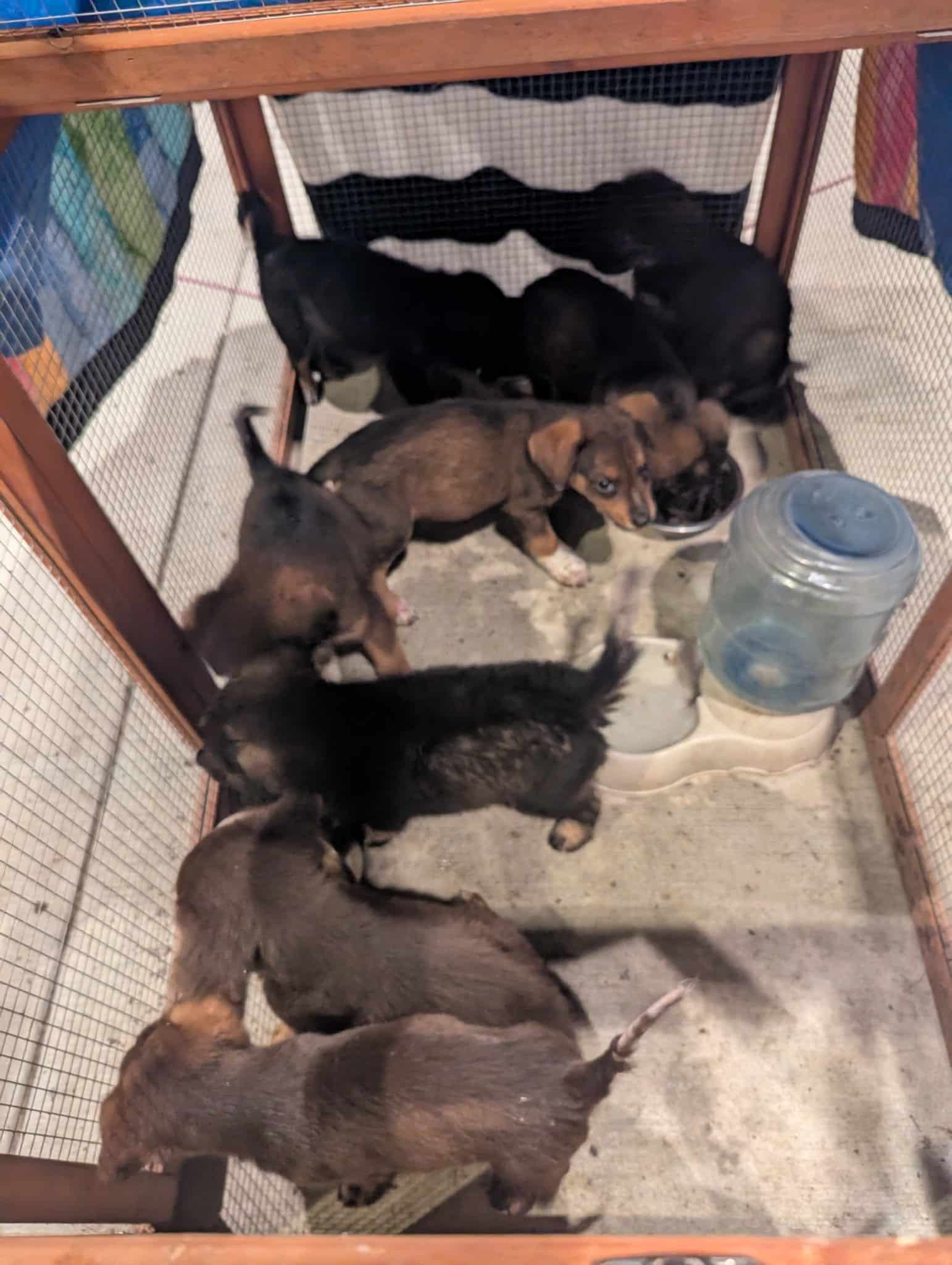 Extra image from article