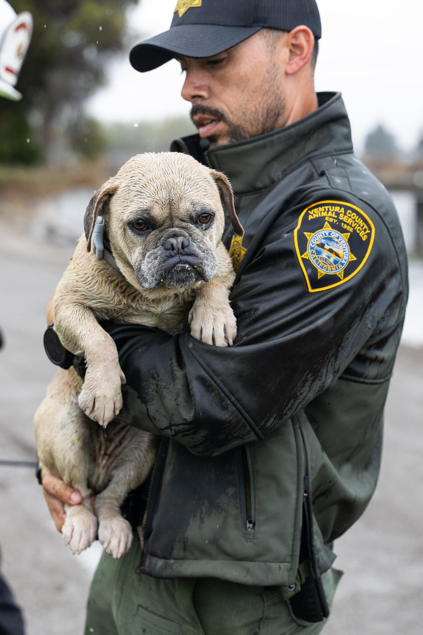 Extra image from article