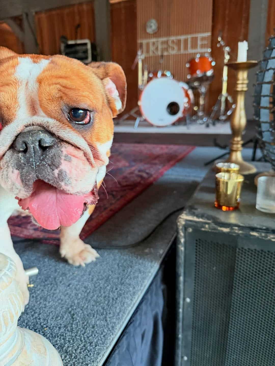 Extra image from article