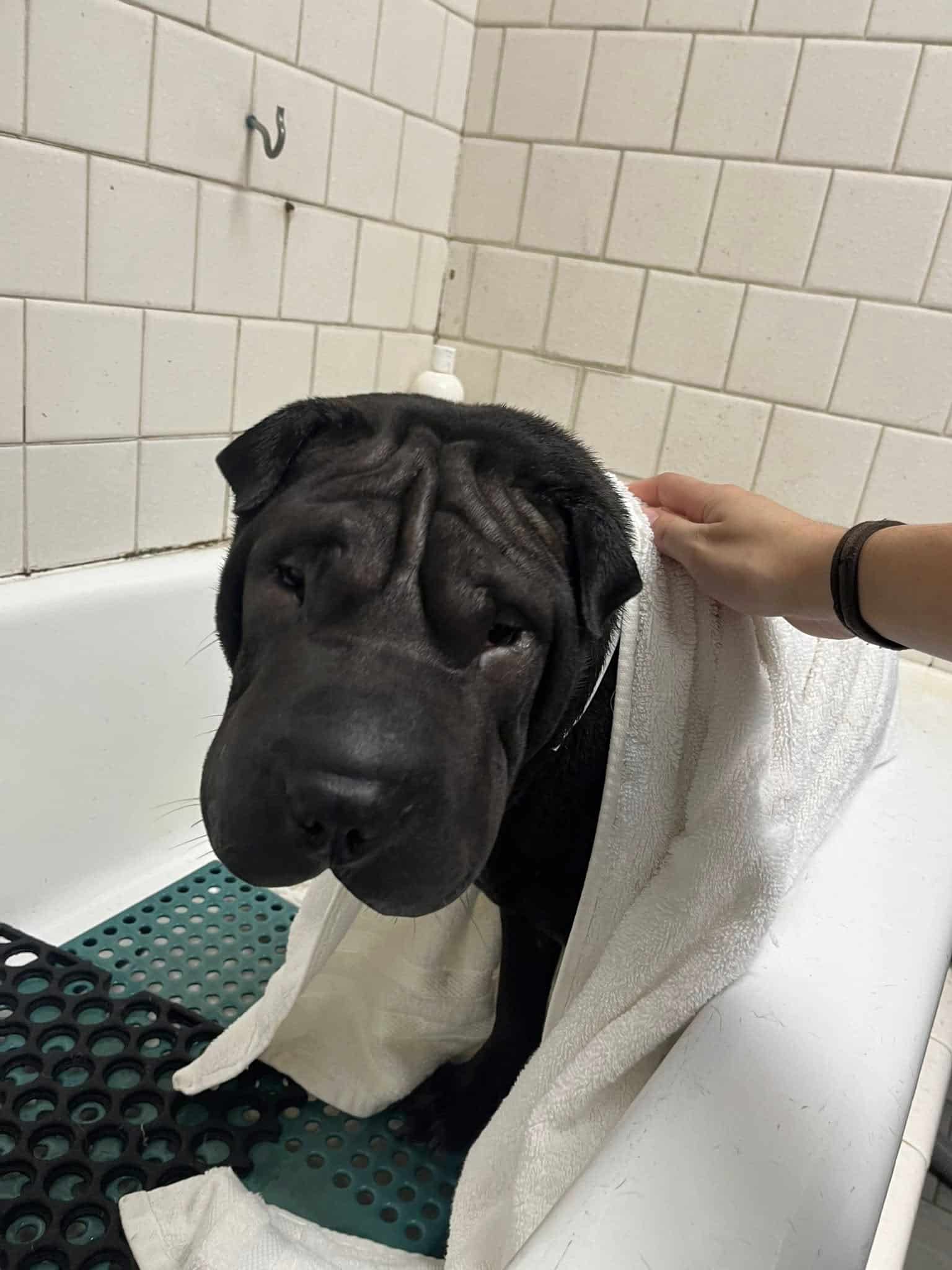 Extra image from article