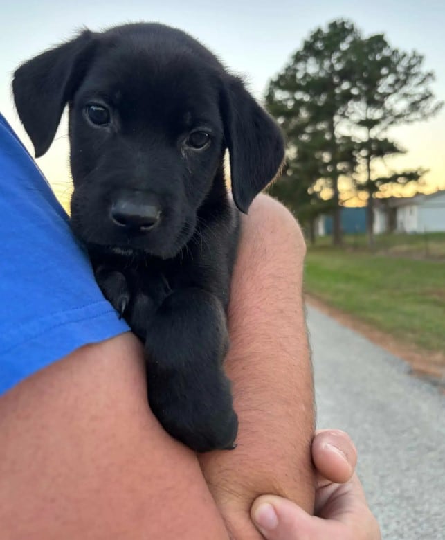 Extra image from article