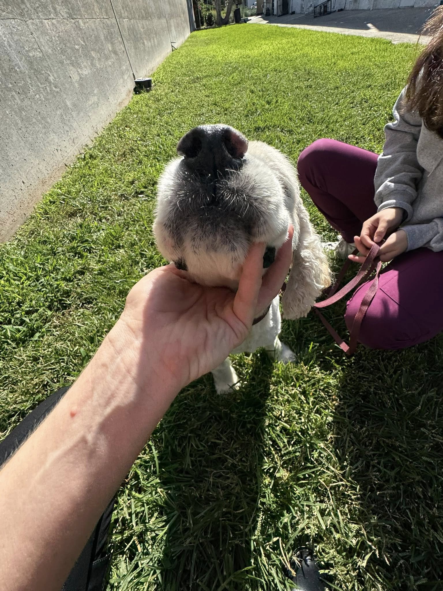 Extra image from article