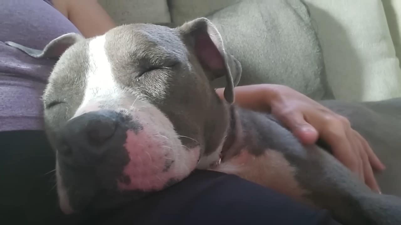 Extra image from article