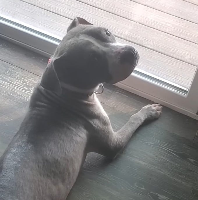 Extra image from article