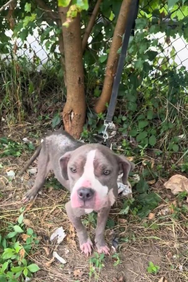 Extra image from article