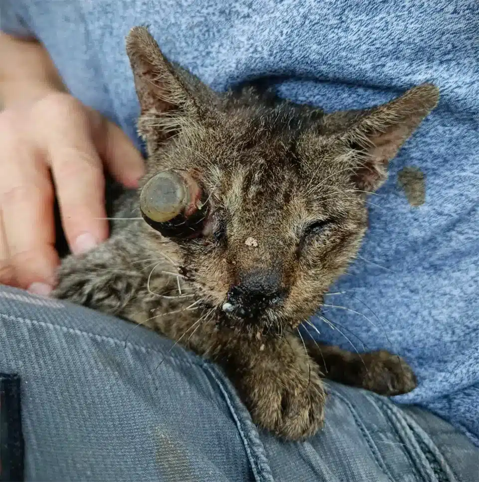 Then, someone made a life-changing call....