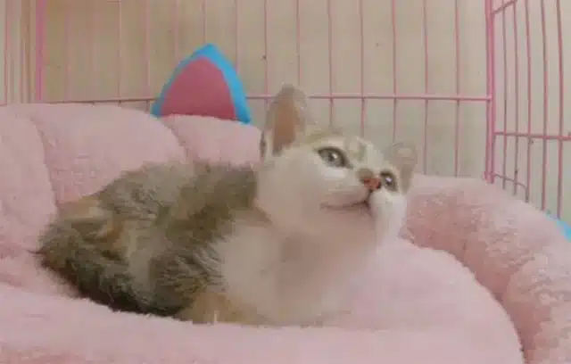 In the days that followed, change unfold...