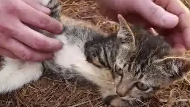 In that instant, everything changed....