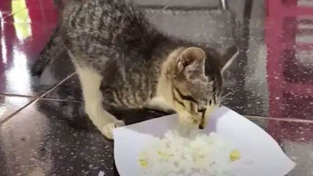 No distress cries....