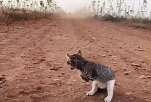 Such a moment came for one man on a quie...