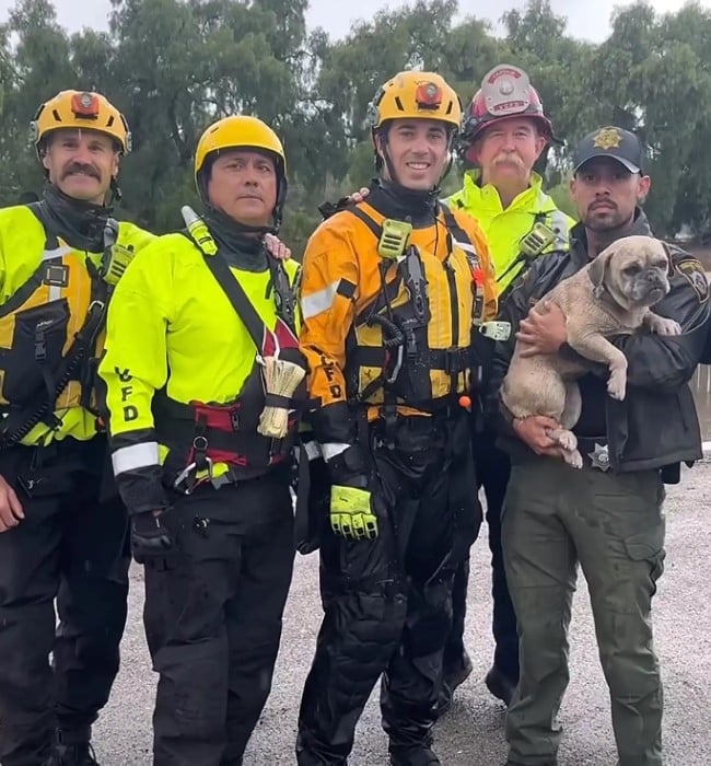 Extra image from article