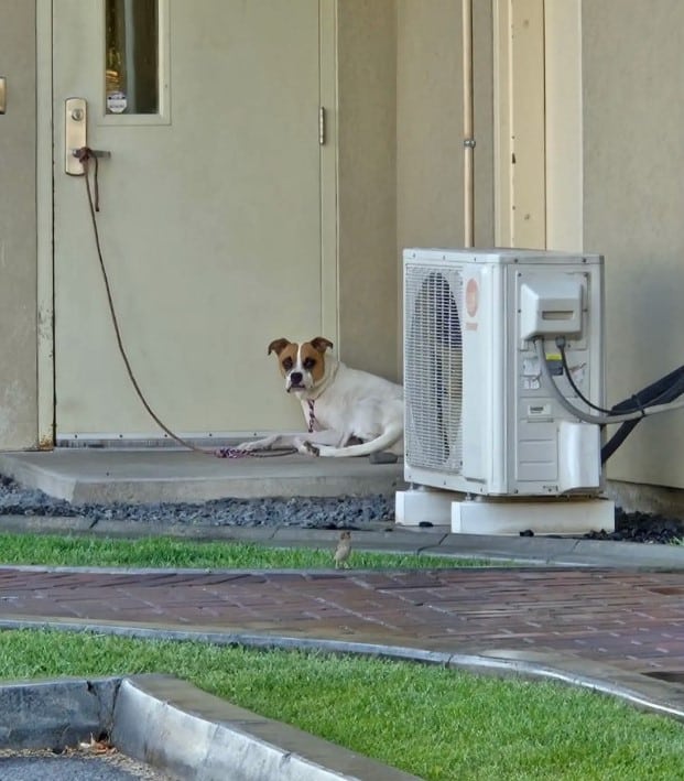 The video footage confirmed what they fe...