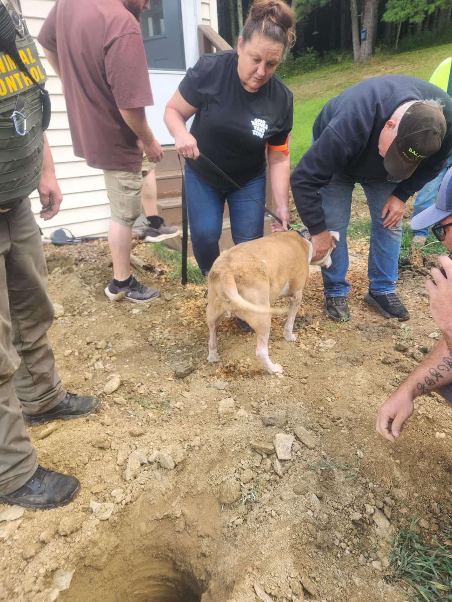 Extra image from article