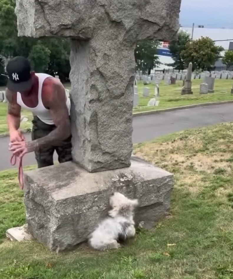 Extra image from article