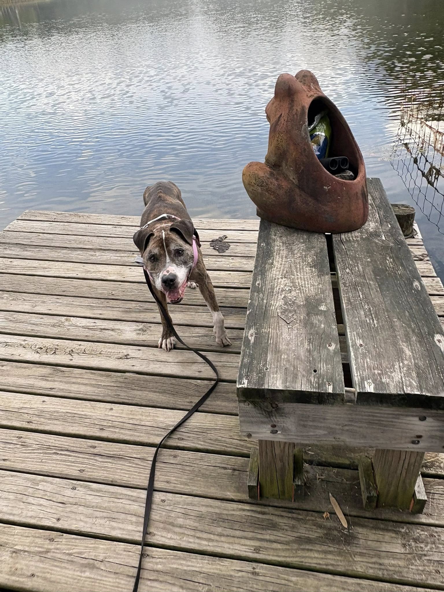 Extra image from article