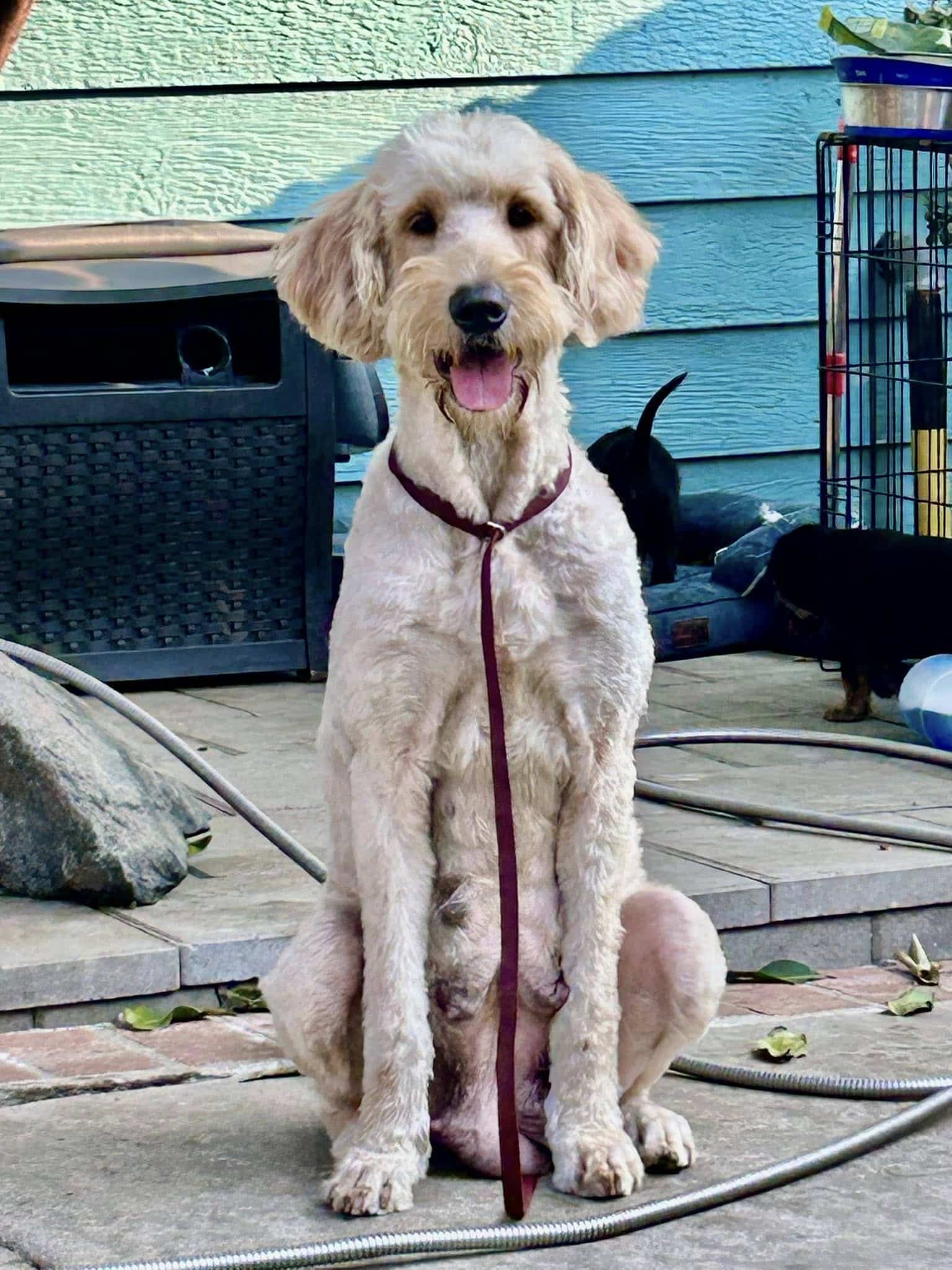 Extra image from article