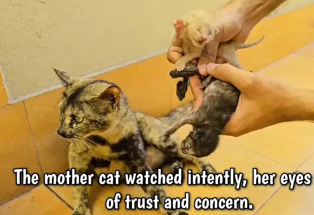 One morning brought an unexpected discov...