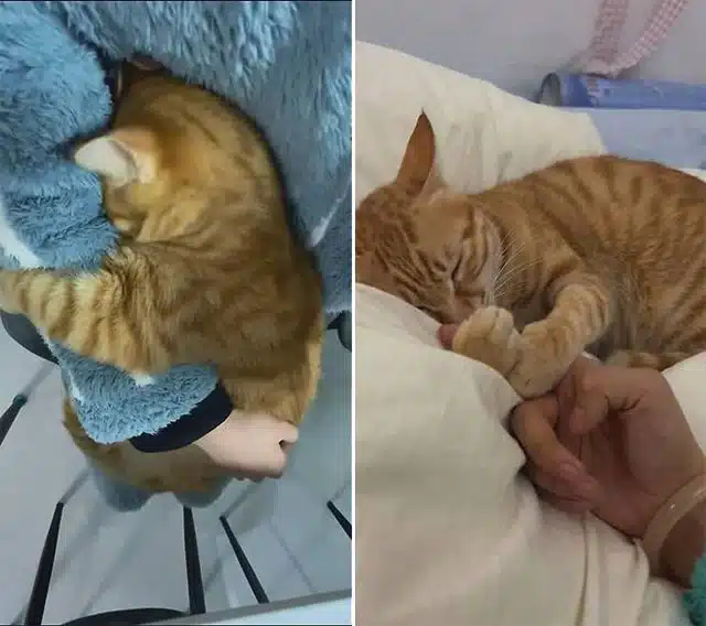 That evening, an unexpected bond formed....