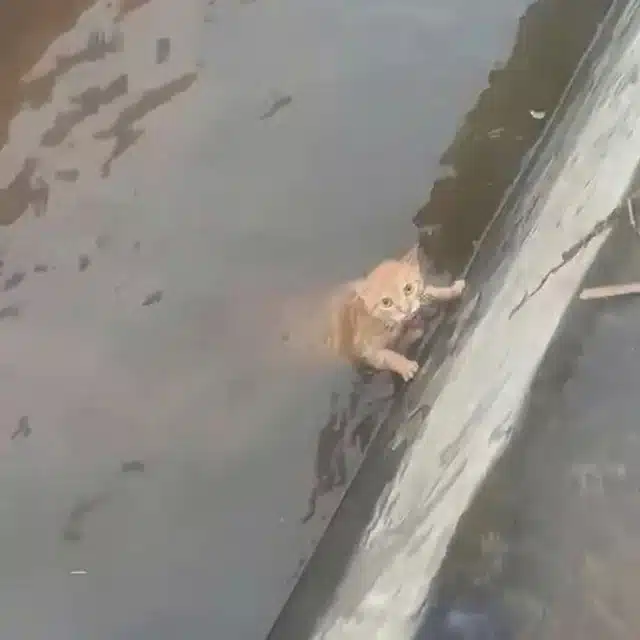 Suddenly, amidst the silence, there was ...