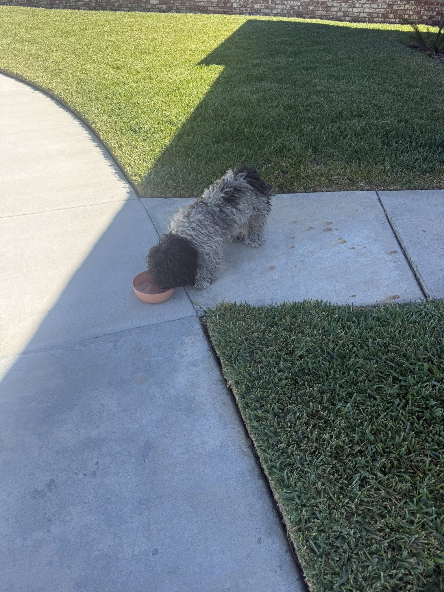 Extra image from article