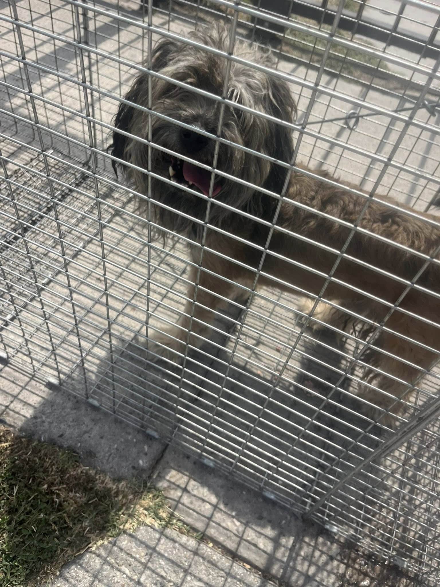 Extra image from article