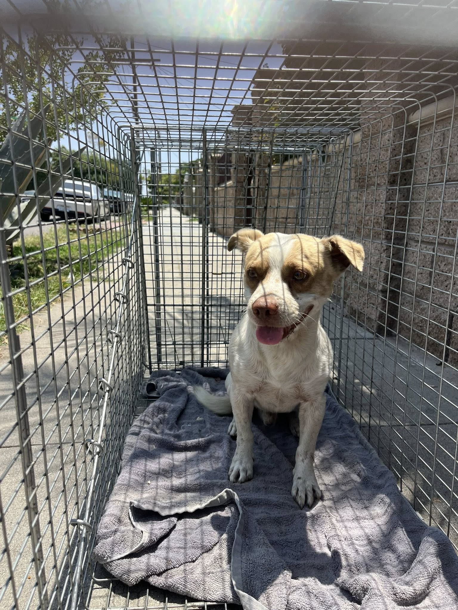 Extra image from article