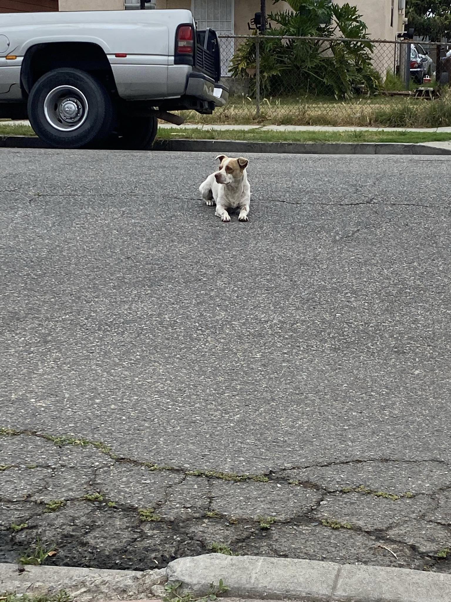 Extra image from article