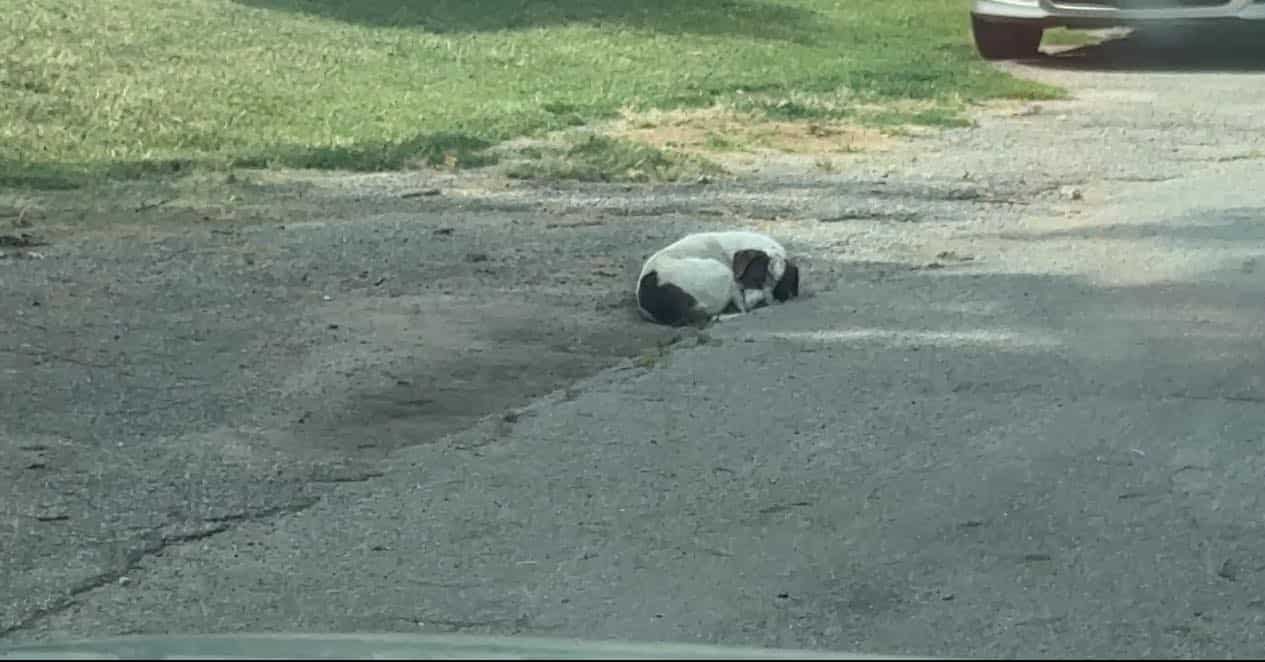 Concerned neighbors acted quickly, caref...