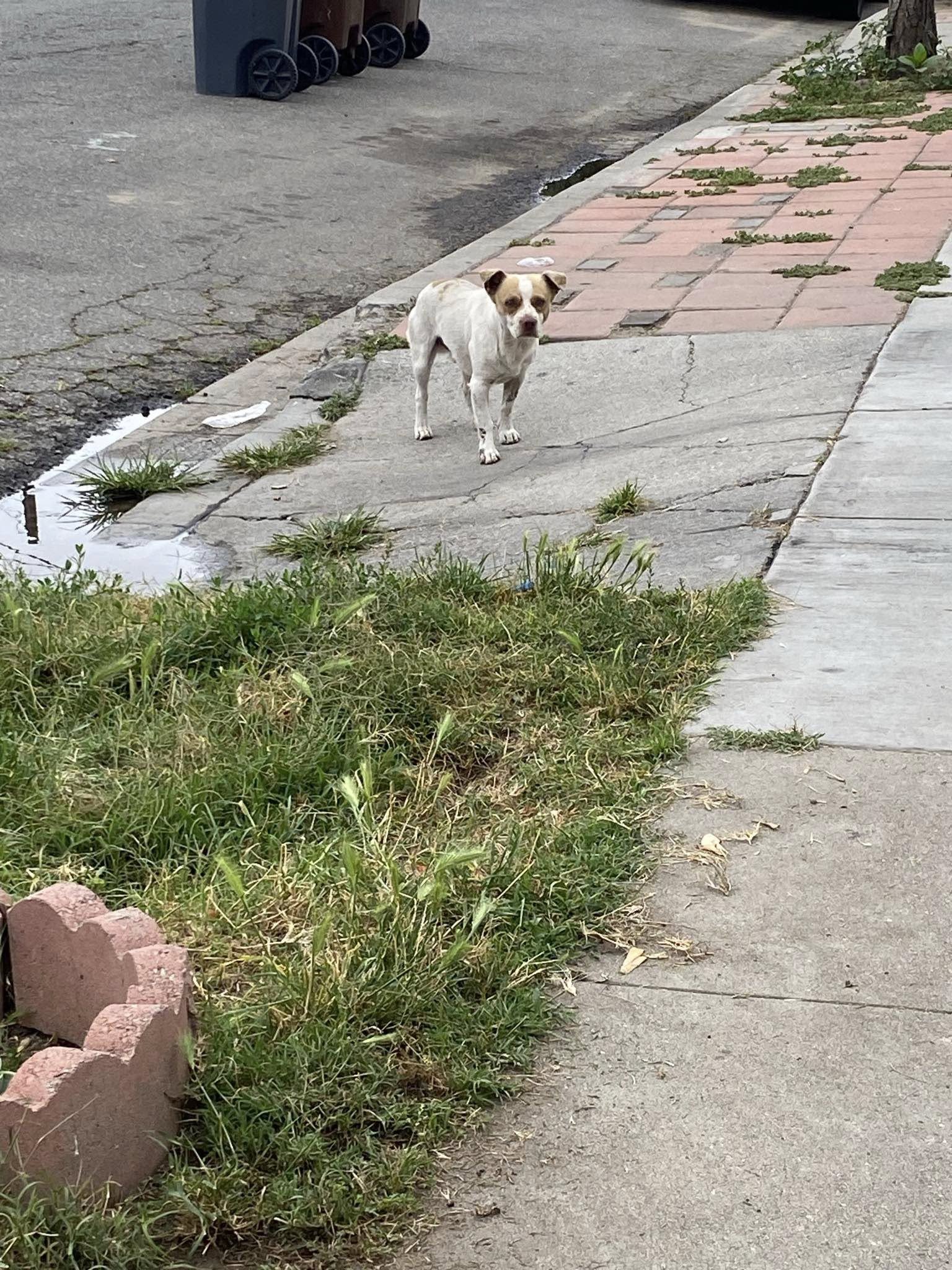 Extra image from article