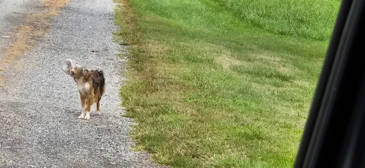 Their persistence paid off early in the ...