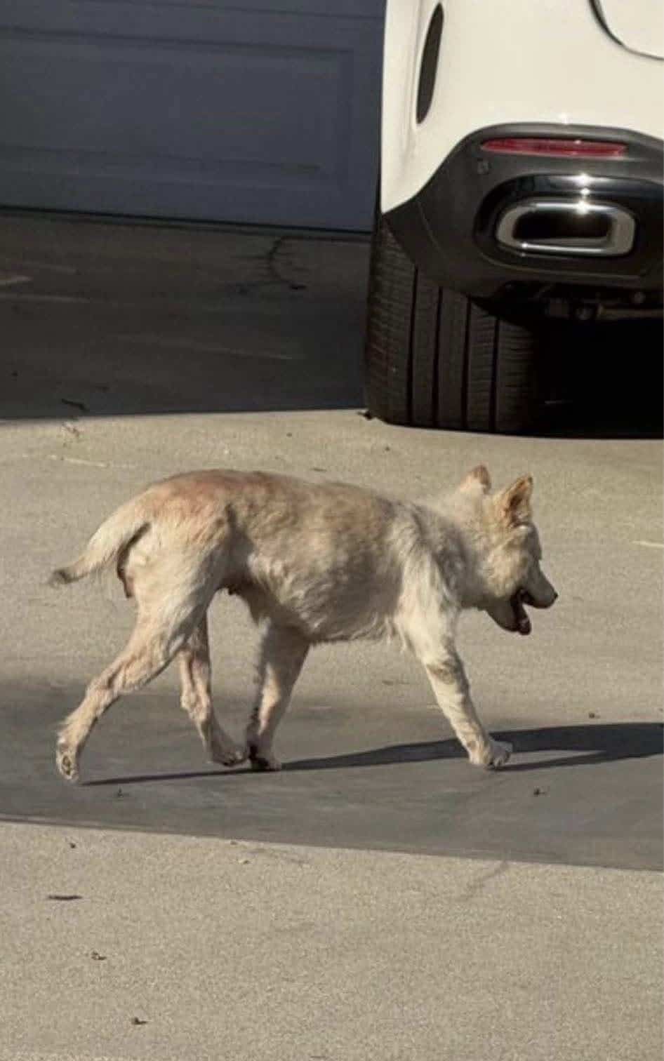 Extra image from article