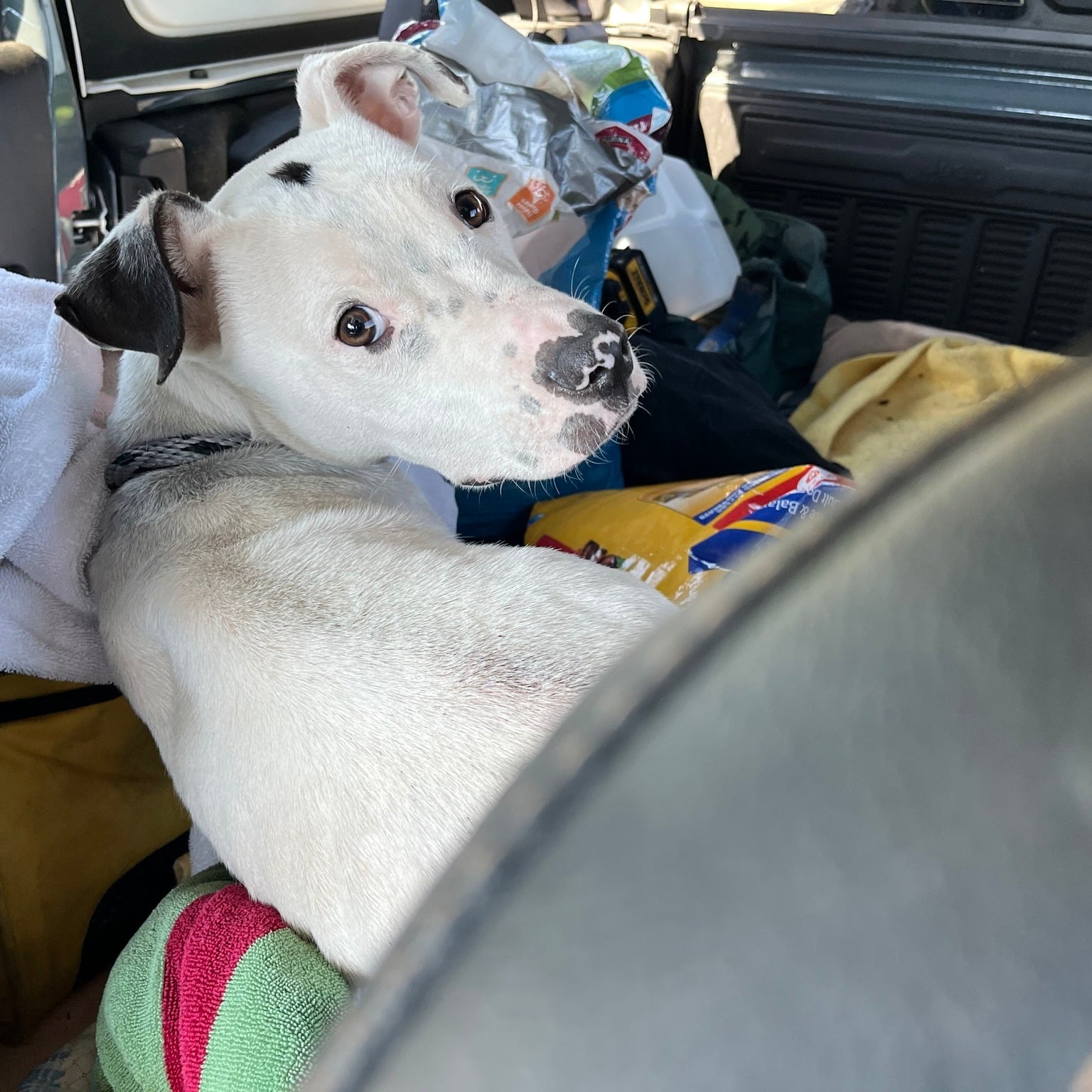 Extra image from article