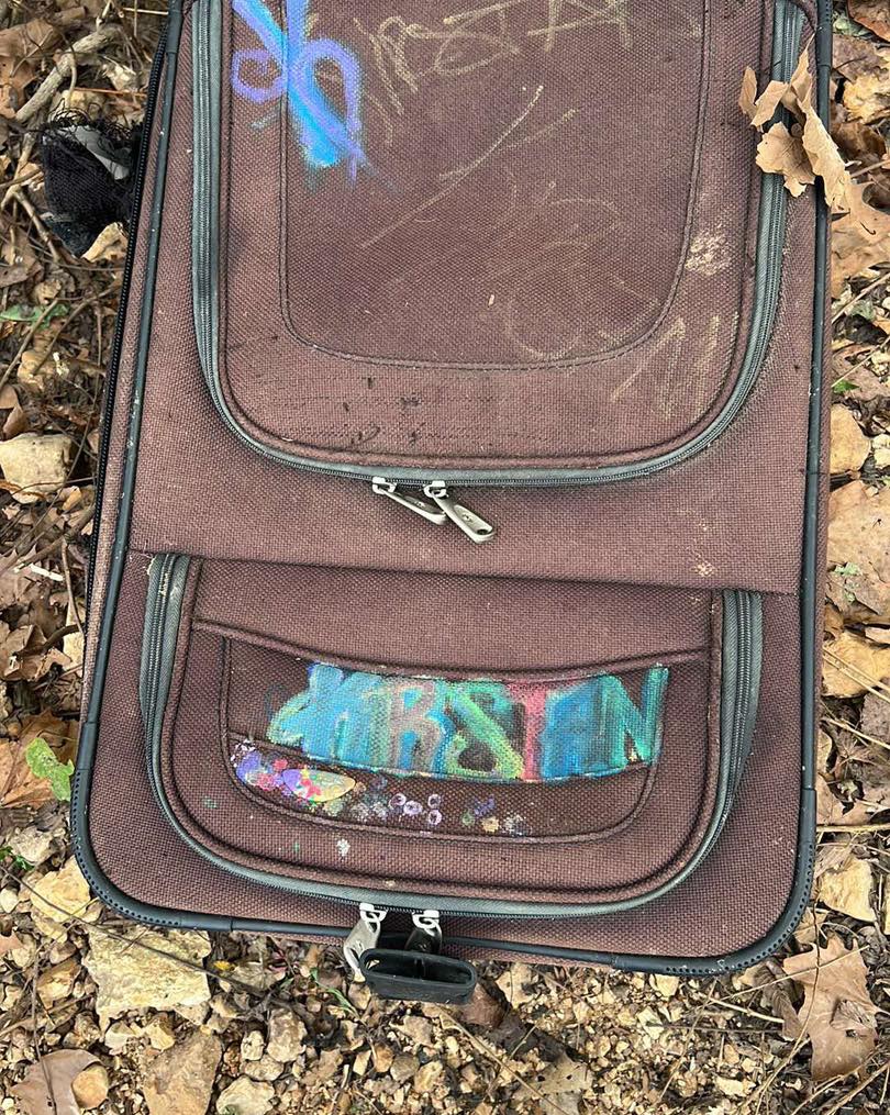 Now, all five Labrador puppies are thriv...