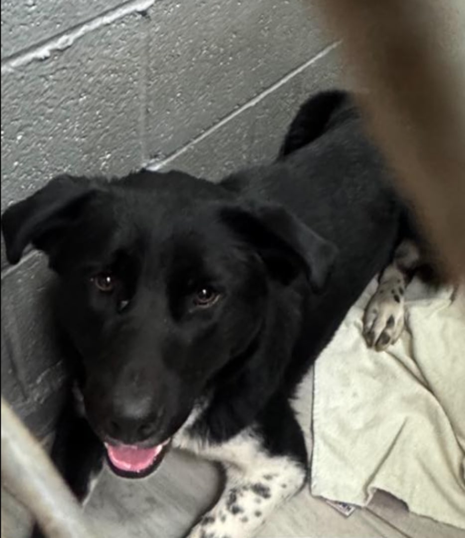 Extra image from article