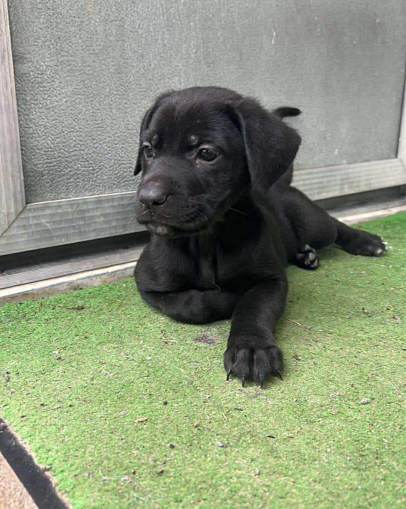 Extra image from article