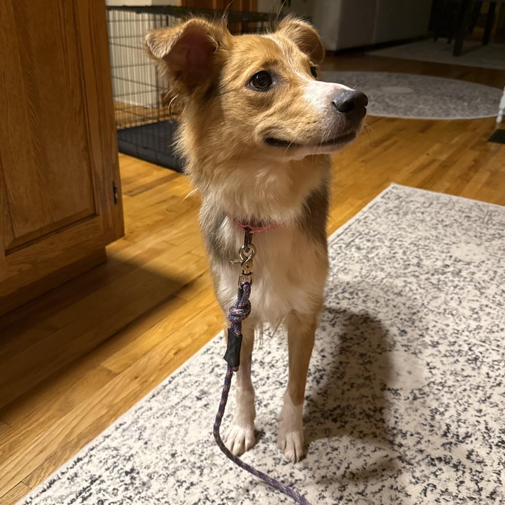 Extra image from article